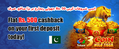 دوست کو دعوت دیں 👥 promotion